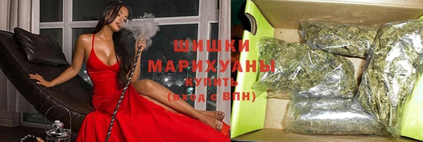 гашик Протвино