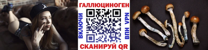 Псилоцибиновые грибы прущие грибы  Купить где  Анадырь 